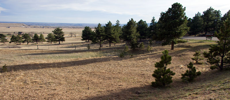 North Foothills Ranch