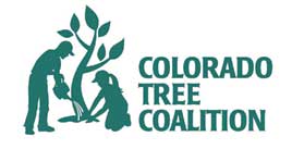 Colorado Tree Coalition logo