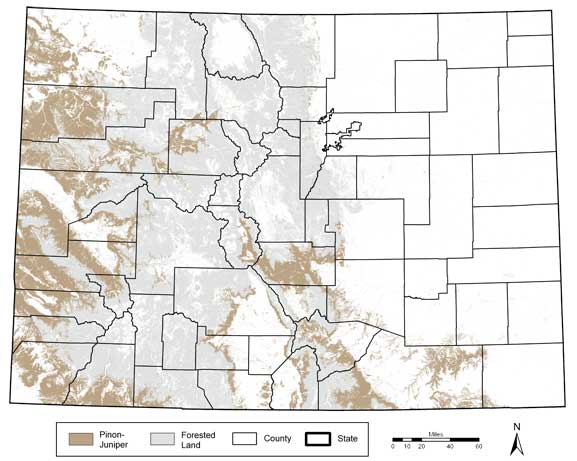 Map showing piñon-juniper in Colorado. Click on map for larger version (184 KB PDF).