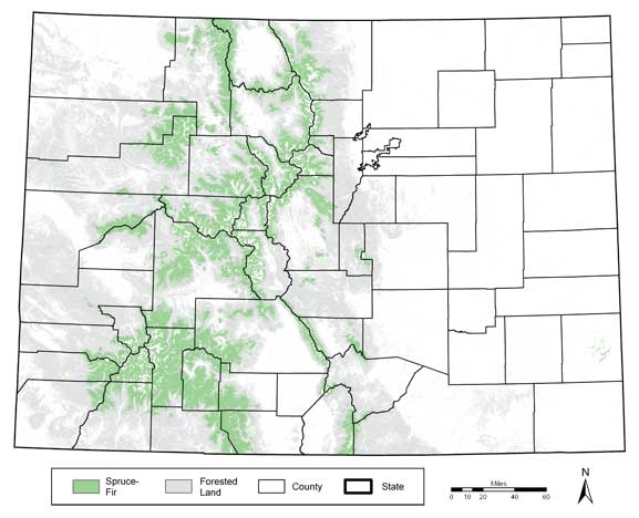Map showing spruce-fir in Colorado. Click on map for larger version (159 KB PDF).