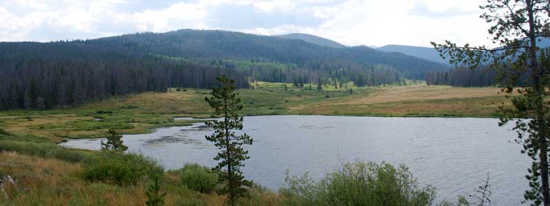 Colorado State Forest wetlands