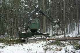 Harvesting equipment on the Colorado State Forest