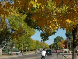 Colorado State University is recognized as a Tree Campus USA. 