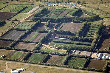 Aerial view of the CSFS Nursery, Fort Collins, Colo.