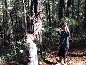 Students calculate forest density at Reservoir Hill. Photo: J.D. Kurz