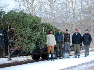 CSFS Fort Collins District foresters harvested the 25-foot subalpine fir on State Trust Land in northern Larimer County.