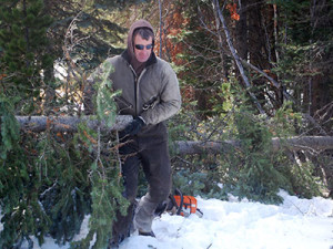 Hughes while harvesting holiday trees.