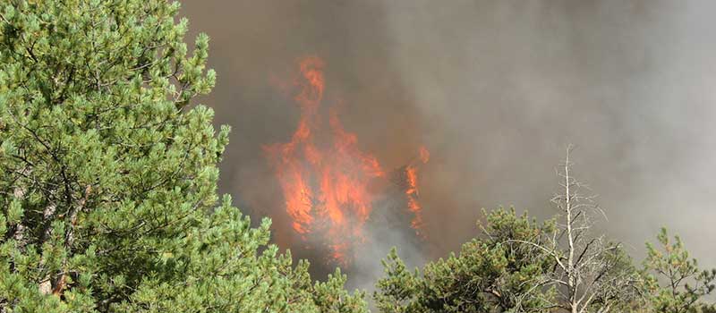Four Mile Canyon Fire