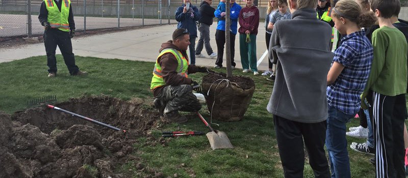 A Community Tree Planting Event in the Golden District
