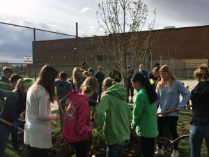 Students Plant a Tree for Tree City USA