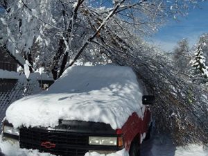 Spring snowstorms on the Colorado Front Range can cause significant damage
