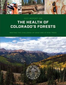 2019 Colorado Forest Health Report