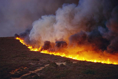 A wildfire burns in Colorado