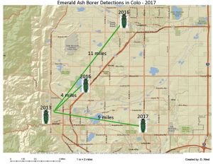 2017 Emerald Ash Borer Detections in Colorado