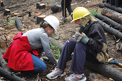 The Colorado State Forest Service and Girl Scouts of Colorado partner to promote forest restoratiion in Colorado