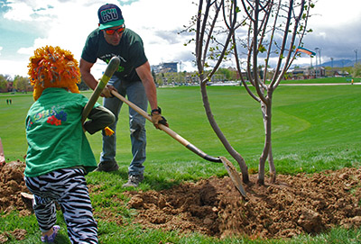 A child helps plant a tree