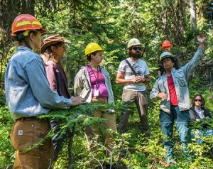 A forestry collaborative takes root in Oregon