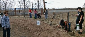 Volunteers assist CSFS foresters in Alamosa with a tree planting
