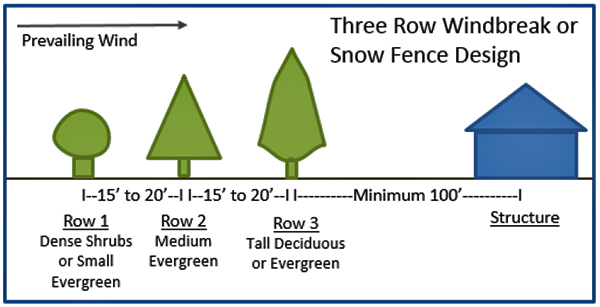 Three-row windbreak or snowfence design