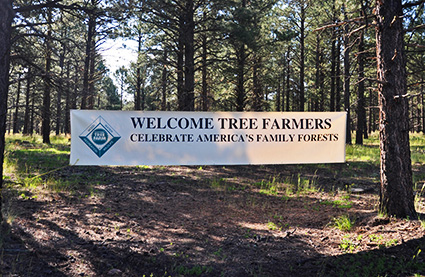 A Pagosa Springs family was recognized for efforts toward growing renewable timber resources while protecting environmental benefits and increasing public awareness.