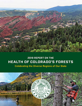 2019 Forest Health Report