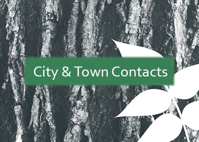 Emerald Ash Borer City & Town Contacts