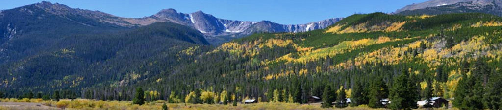 Colorado forests are treasured by citizens