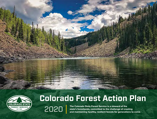 CSFS 2020 Forest Action Plan