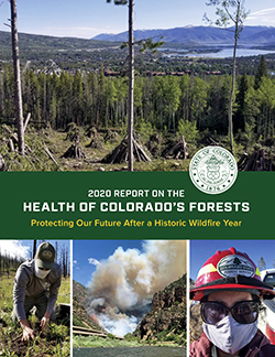 2020 Report on the Health of Colorado's Forests