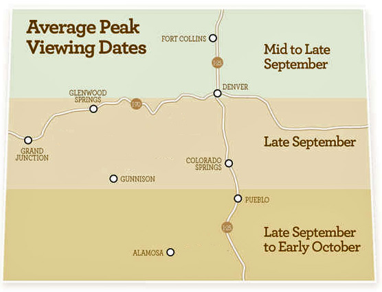 Map of Colorado divided into three bands from top to bottom that show the Average Peak Viewing Dates for aspen with the top being Mid to Late September, Middle is Late September and bottom is Late September to Early October