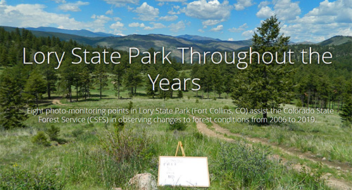 CSFS monitored forest conditions at Lory State Park for several years - view this interactive map to learn more