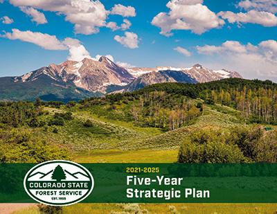 The CSFS' strategic plan outlines the agency’s vision, mission and strategic goals.