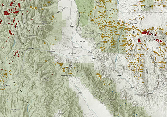 Salida-area insects & diseases map