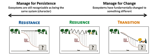 Conceptual Diagram of Resistance, Resilience and Transition