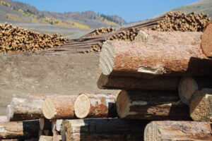 large piles of logs at different stages of logging in a vast mountain valley.