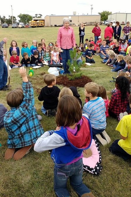 surrounded by schoolchildren, a woman stands behind a newly planted coniferous seedling. 