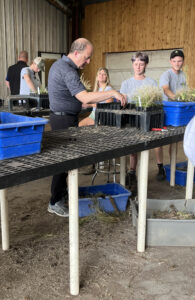 several people plant seedlings while standing at a potting table. 
