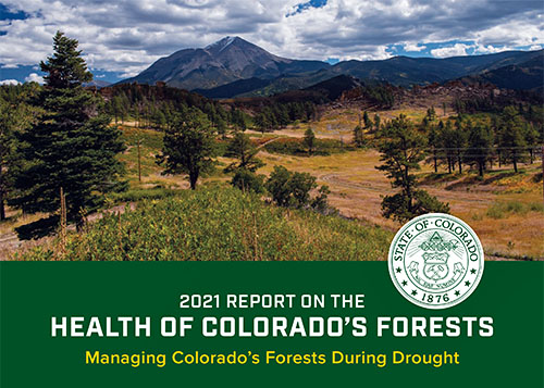 2021 Colorado Forest Health Report