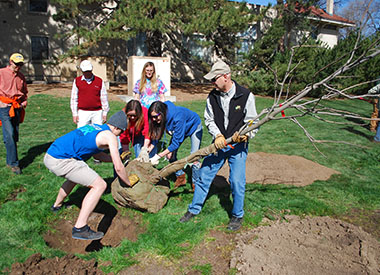 A tree planting on the CSU campus
