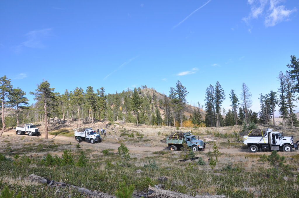 line of four dump trucks filled with slash in front of a mountain top covered in pine trees