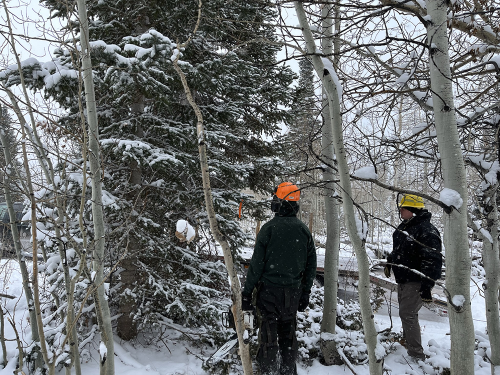 two men wear hardhats while standing in a snowy forest.