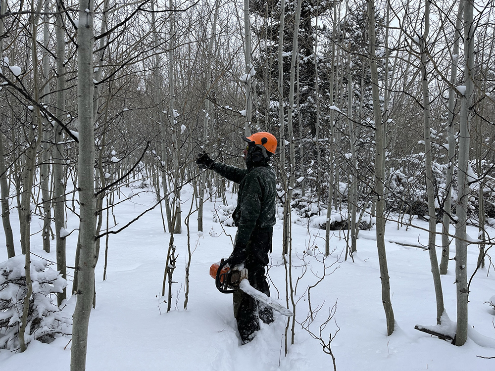 person stands in snowy forest while wearing a hard hat and carrying a chainsaw