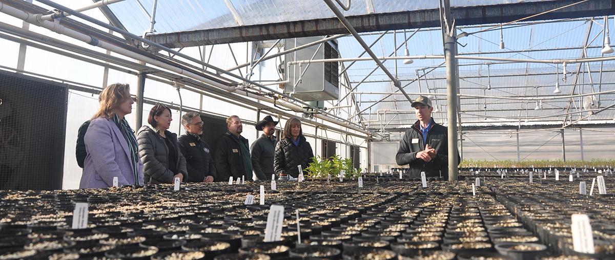 Row of adults stand in a greenhouse next to tables filled with seedling trays and listen to the nursery manager speak. 