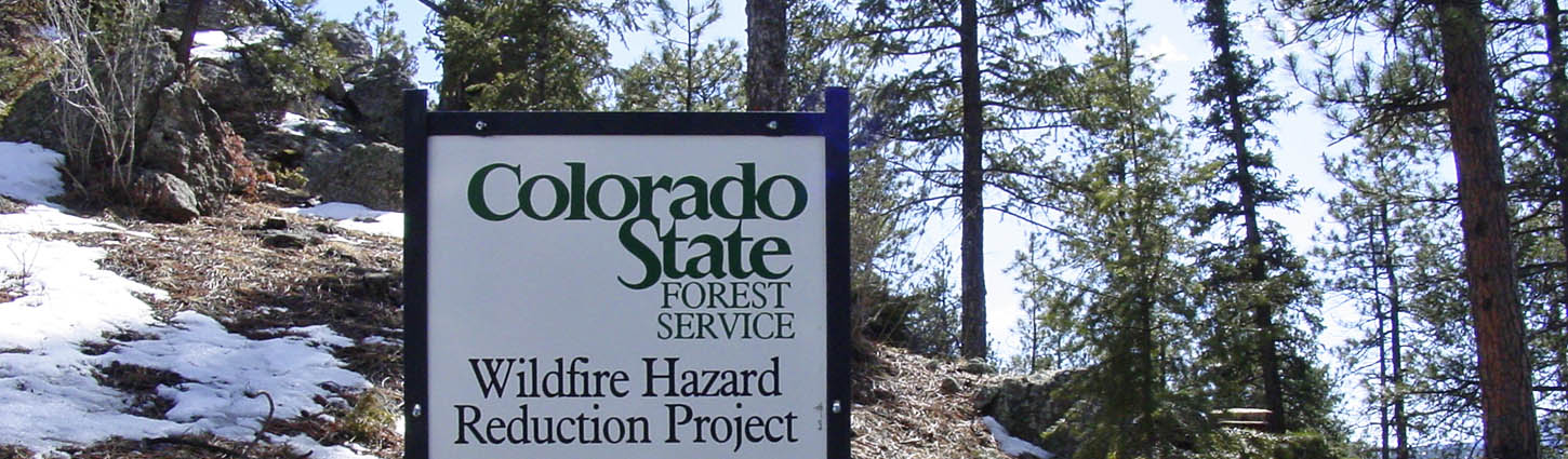 Forest restoration at the Colorado State Forest Service