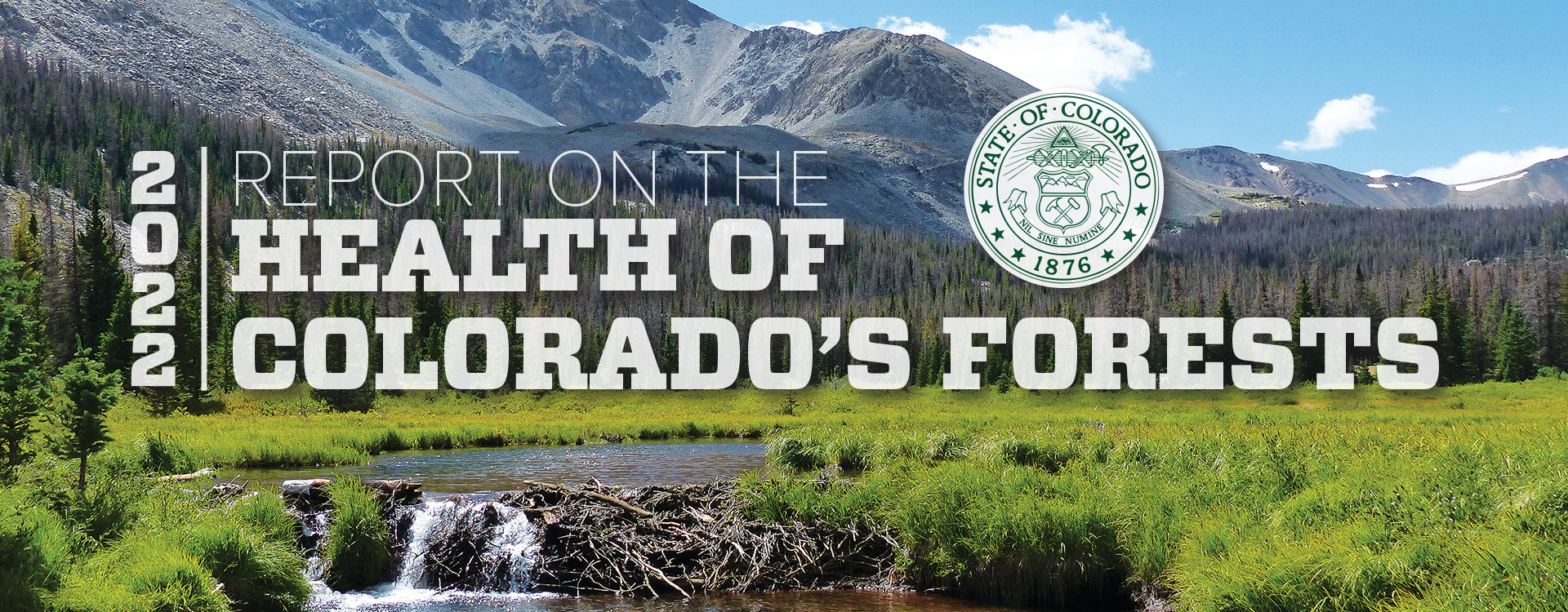 2022 Report on the Health of Colorado's Forests header graphic