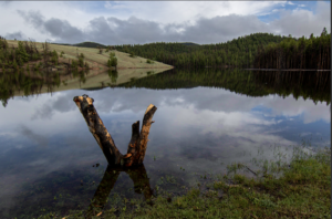 alpine lake with clouds reflected in it and a standing dead tree rises out of the water.