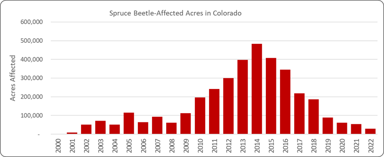 Since 2000, spruce beetle has affected at least 1.9 million cumulative acres in Colorado.