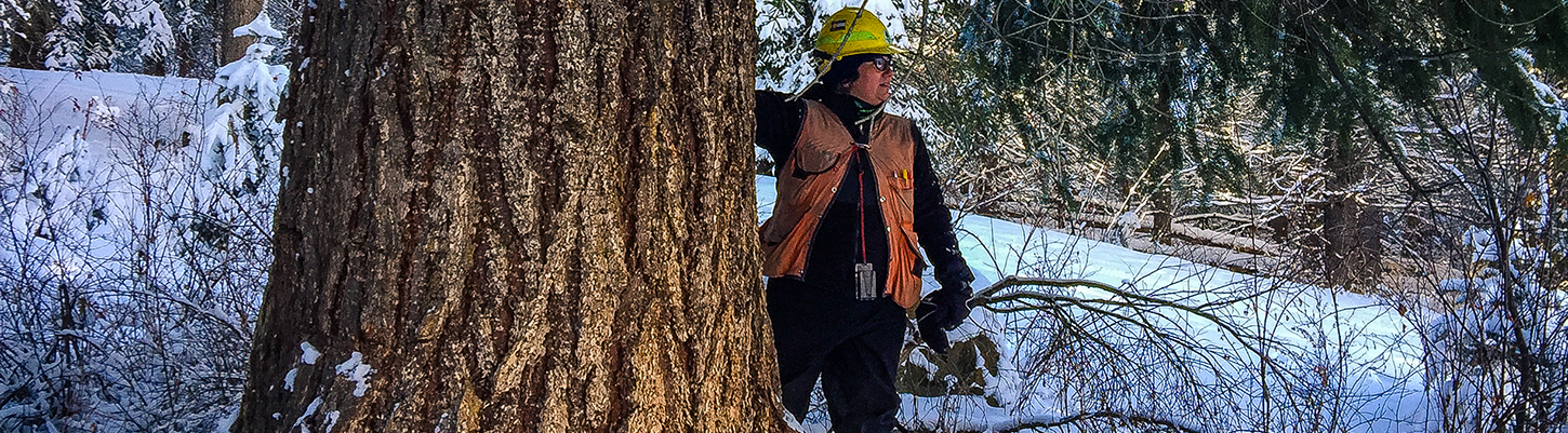 woman wearing safety gear stands next to huge tree in the snow