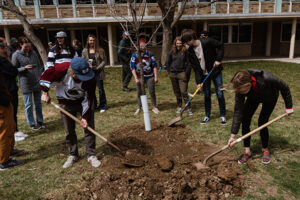 A group of students shovel dirt around a newly planted tree.
