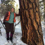 A person standing in snow wearing an orange vest, leaning against a large tree